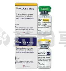 images 2025091811190333534