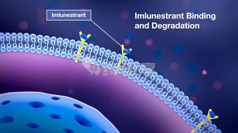 49bd922eb4ba8c2972b7a21510f9e04d 2025102011332393015