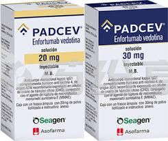 images (2) 2025102410265842698