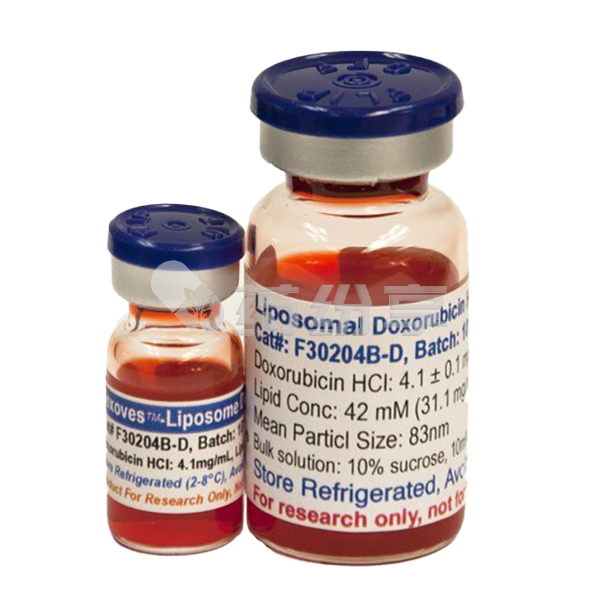 1 2025103009560420097