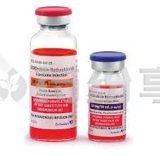 4 2025110610231454425