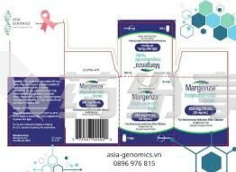 images 2025112711264976368