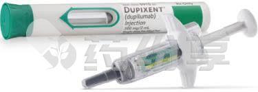 6 2025121611571800472