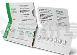 微信图片_20251105114251_279_31 2026010711193909757