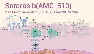 2026072401003691337