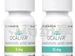 oclavia-2~1 2026082411332810097